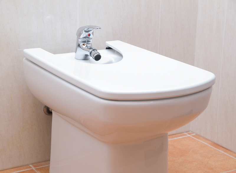 In Home Safety for the Elderly-Bidet in a Bathroom