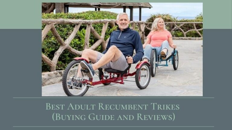 3 Best Adult Recumbent Trikes (Buying Guide 2021) – Ride In Comfort