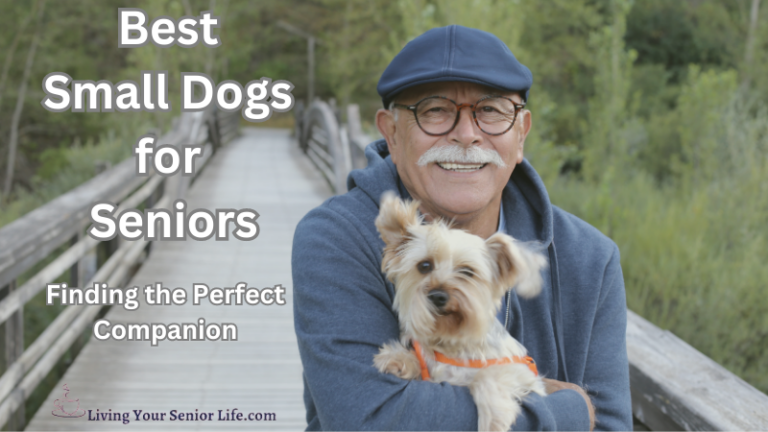 Best Small Dogs for Seniors: Finding the Perfect Companion