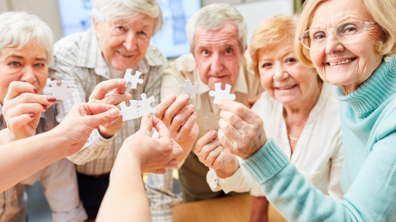 Explore the World of Large Piece Jigsaw Puzzles for Seniors - Social 