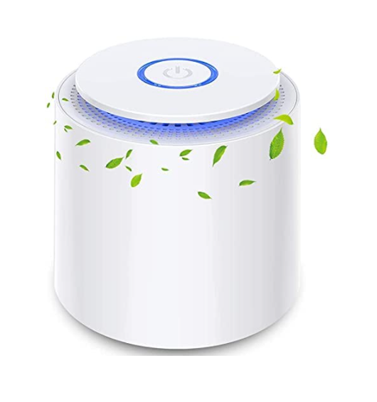 Best Rated Home Air Purifiers (2021 Reviews and Guide) - Hauea