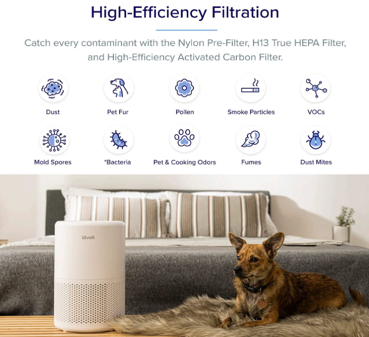 Best Rated Home Air Purifiers - Levoit
