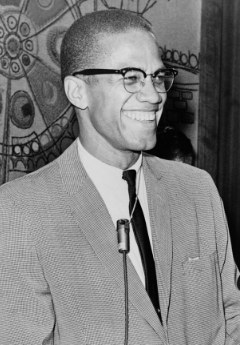 Life in the 1960s - Malcolm X