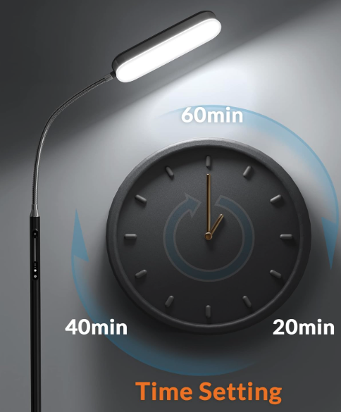 LEPOWER Floor Lamp - Timer