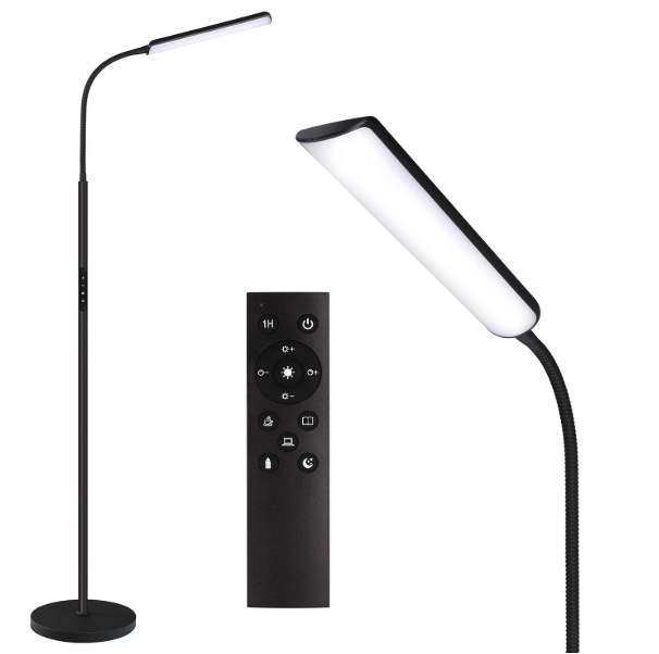 Dimunt LED Floor Lamp