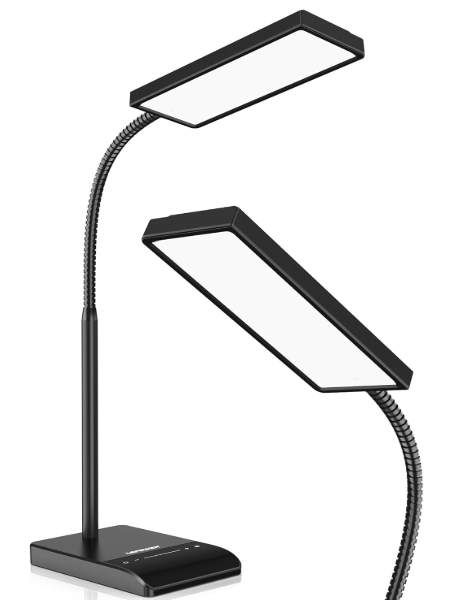 LEPOWER Desk Lamp