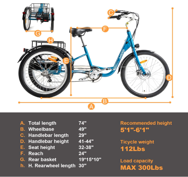 DWMEIGI Step Thru Electric Tricycle - specs