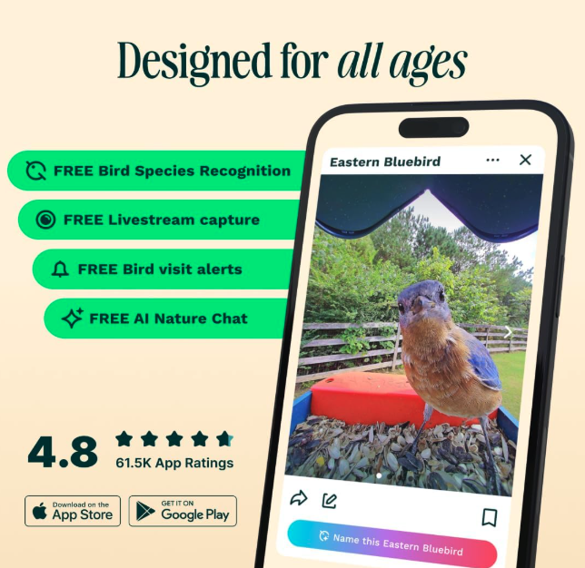 Birdbuddy PRO Solar Smart Bird Feeder with Camera - Species Recognition