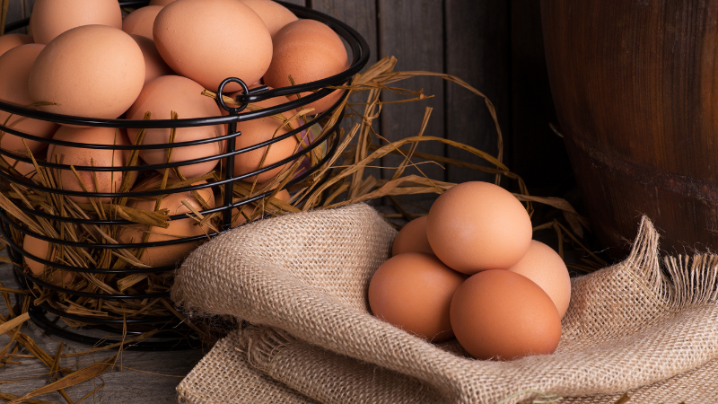Foods that support bone health - a comprehensive guide - Eggs