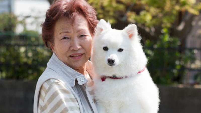 What Are Robotic Pets For Adults - Woman holding dog
