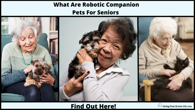 What Are Robotic Companion Pets For Seniors