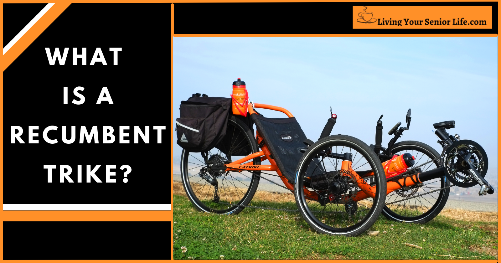 What is a Recumbent Trike?