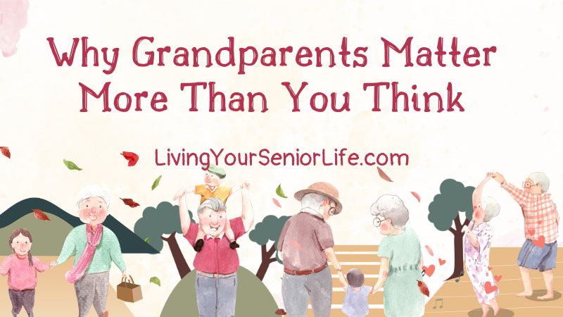 Why Grandparents Matter More Than You Think 1 Illustration showing grandparents spending quality time with grandchildren in outdoor settings, depicting emotional bonds and intergenerational relationships