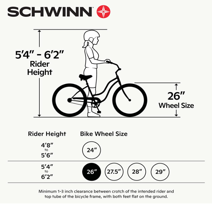 Best Adult Tricycles – Reviews and Buying Guide - Schwinn